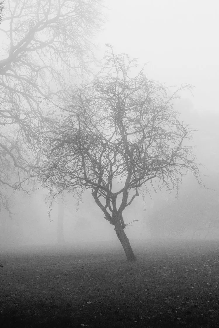 Soft light breaking through clouds, representing hope during difficult times